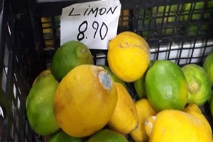 Narenciye Ülkesinde Limonun Kilosu 9 Tl