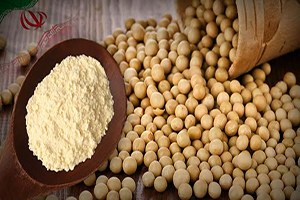 İran dan Soya Unu Talebi