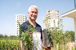 Kurusunun Kilosu Bin Lira Olan Stevia Bitkisi Yetiştirecekler