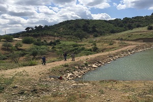 Üzüm Bağları Suya Kavuşuyor