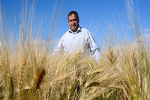 Aksaray da Hasat Dönemi Başlıyor