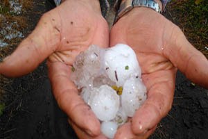 İznik te Tarım Arazilerini Dolu Vurdu