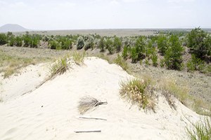 Dünyada Tarla Orman Ve Mera nın Bir Arada Olduğu Tek Yer