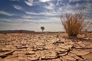 Türkiye de Çölleşme Hızla Artıyor