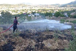 Türkoğlu nda Zeytinlik Yangını