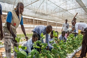 Tika dan Somali deki Anadolu Ziraat Fakültesine Destek