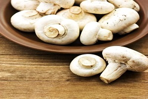 Bayburt Halk Sağlığı Müdürlüğü nden Mantar Uyarısı