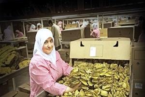 Ege İhracatı Yükselişe Devam Ediyor