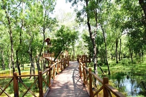 Kuş Cenneti Dünya Çevre Günü ne Ev Sahipliği Yapacak