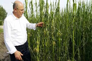 Tarımsal Envanter Neden Yapılmıyor