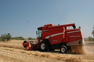 Tarsus ta Buğday Rekoltesi Çiftçiyi Sevindiriyor