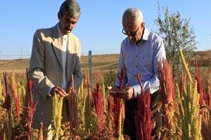 Tarımda Deneme Ekimi