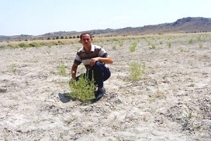 Erozyonla Mücadelede Amerikan Çalısı Başarısı