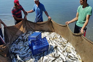 Yasak Kalktı Mutlu Olan Yok