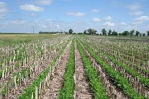 Çatak Projesi Kastamonu da Hız Kazandı