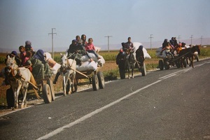 Kışkırtıcı Rekabet Derin Sömürge