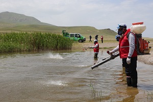 Sivrisineklerle Biyolojik Mücadele