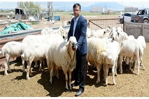 Verim Artışı İçin Koç Katımı Önemli