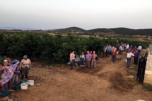 Avrupalı Salihli Kirazını Sevdi Hedef Çin Pazarı
