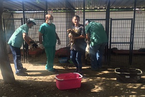 Belediye Hayvanlara Sahip Çıktı