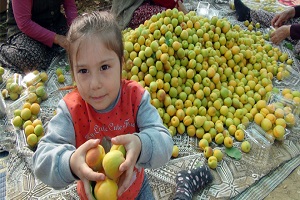 Bor Açısından Zengin Ürünler Hastalıkları Önleyebilir