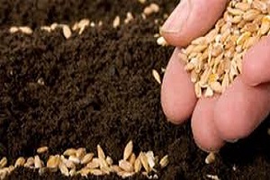 Hibrit ve GDO Aynı Değil