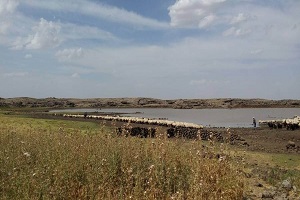 Tarımsal Altyapı Çalışmaları Sürüyor