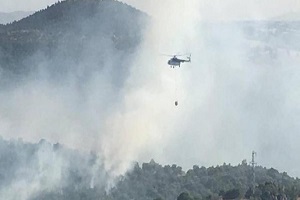 Yangın Beş Hektarlık Alanı Küle Çevirdi