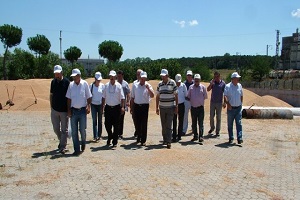 TMO nun Buğday Alımları