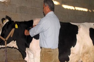 Ereğli de Karantina Uygulaması Başlatıldı