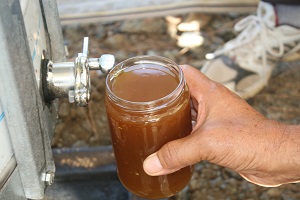 Marmaris ten Bal Akıyor