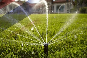 Tayland Damla Sulama Ürünleri İthal Edecek