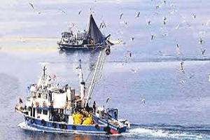 28 İldeki Bin 350 Balıkçı Gemisine Bagis Cihazı Takılacak