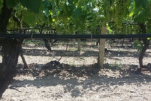 Büyükşehirden Büyük Destek