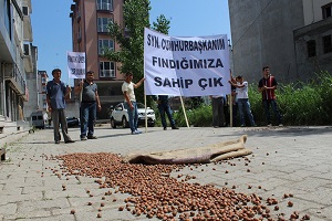 Üreticilerden Fındık Protestosu