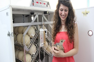 Kırmızı Ete Rakip Et Geliyor