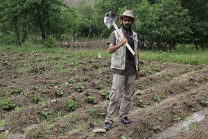 Gazetecilik ten Çiftçiliğe