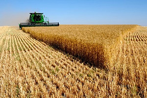 Doğuya Çare Aranıyor