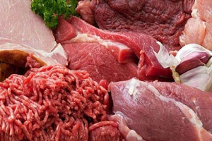 Bosna dan İlk Et Nakliyesi Geldi