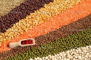 Kırklareli de Hububat Hasat Komisyonu Toplantısı