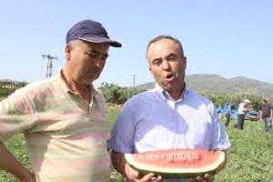 Salihli de Karpuz Tepkisi