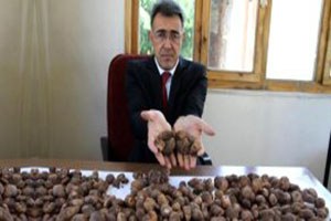 Yabani Orkide Toplayanlara 327 Bin Lira Ceza