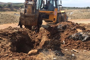 İzmir de Toplu Hayvan Katliamı İddiası