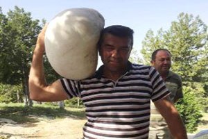 Denizli de Bulunan 7 Kilo 404 Gramlık Dev Mantar Şaşırttı