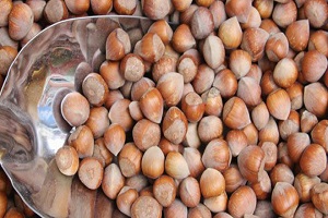 ABD de Açıklanan Fındık Rekoltesine Tepki