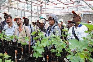 Afrikalı Ormancılara Tarım ve Ekonomi Anlatıldı