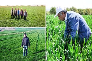 Bu Projeden Çiftçiler Karlı Çıktı