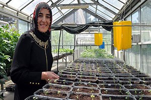 Milli Patates Kadın Eliyle Tanıtılacak