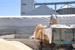 İslahiye TMO Emanet Hububat Alımını Sürdürüyor