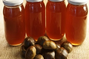 Yağışlı Hava Kestane Balını Olumsuz Etkiledi